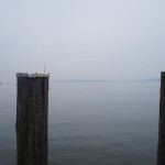 AWW_Ammersee2013_22